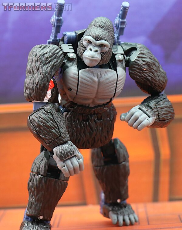 Transformers Kingdom Wave 1 Optimus Primal  (19 of 55)